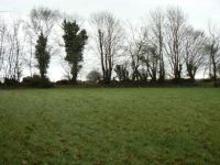 Plot Of Grassland In Quiet Rural Setting
