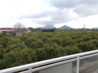 P24 2 Bedroom Flat With Mountain Views For Sale In Beniarbeig