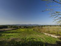 Picturesque Country House In Lovely Area In Montuiri