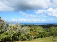Ocean View Land For Sale Las Terrenas Samana Dominican Republic Property Id: L1213db