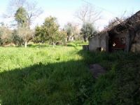 Renovation Project With Land Situated Close To Alvaiazere