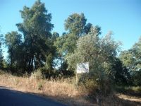 Forest And Agricultural Land, 1520 M2