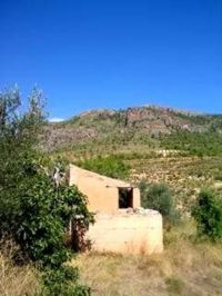 Land For Sale In - Yeste